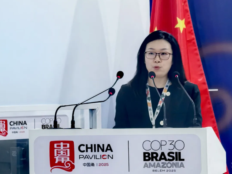 1763369280647644.png 16.png